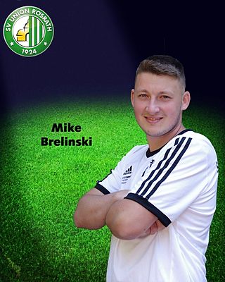Mike Brelinski