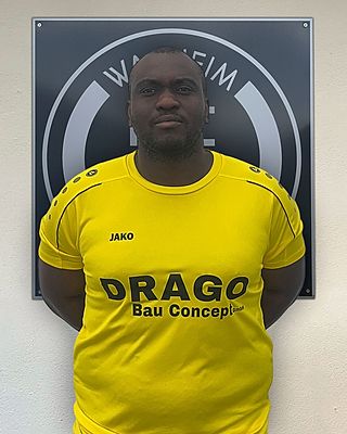 George Adewole Olayiwoea