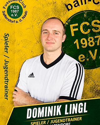 Dominik Lingl