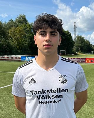 Mohammad Sami Goodarzi