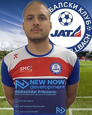 Aleksandar Pribicevic
