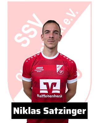 Niklas Satzinger