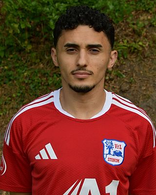Emiljano Mjeshtri