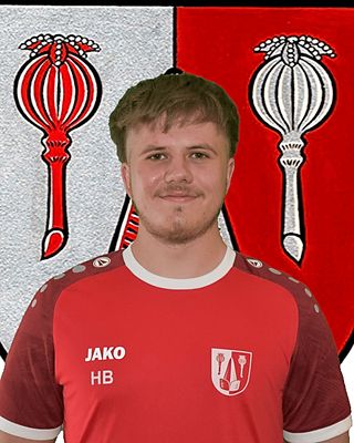 Benedikt Högerl
