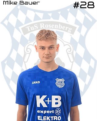 Mike Bauer