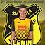 Lewin Etienne Müller