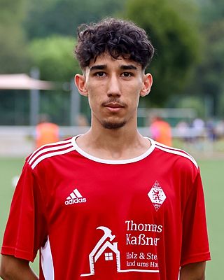 Mehdi Majedi
