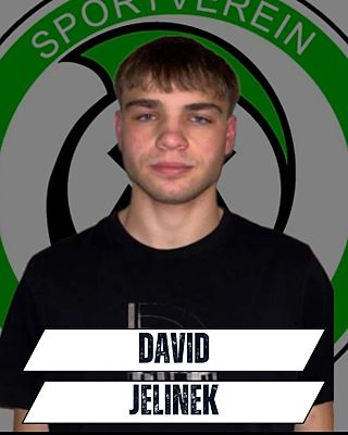 David Jelinek