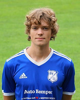 Niklas Rudolf Johannes Hermes