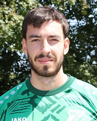 Dimis Naoumis