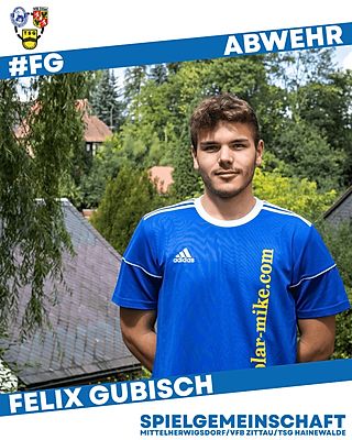Felix Gubisch