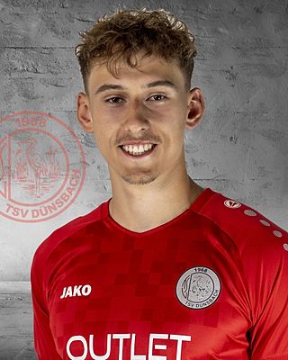 Hannes Schickner