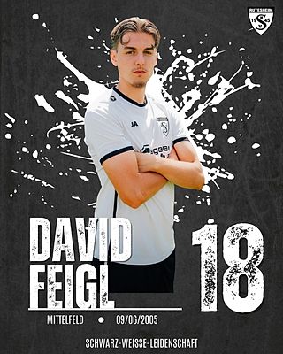 David Feigl