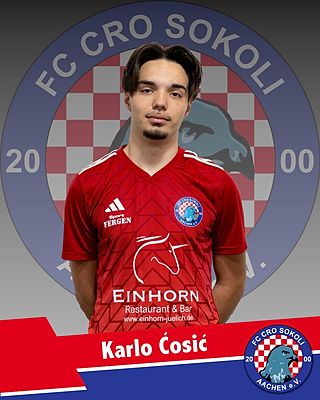 Karlo Ćosić