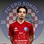 Karlo Ćosić