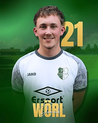Dominik Wörl