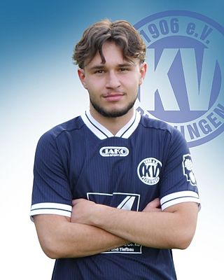 Sani Hajdinagic