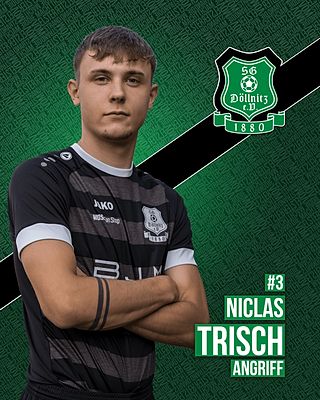 Karl Niclas Trisch