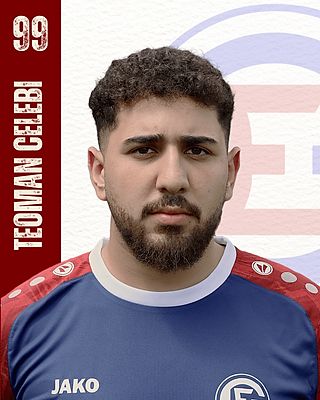 Teoman Celebi