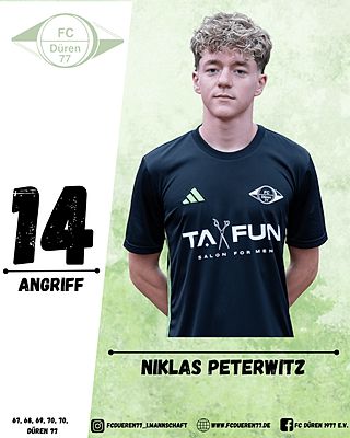 Niklas Peterwitz