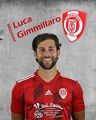 Luca Gimmilaro