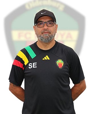 Sinab Evin