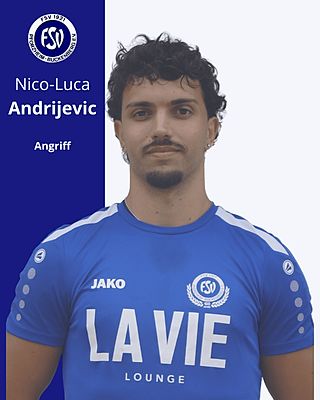 Nico-Luca Andrijevic