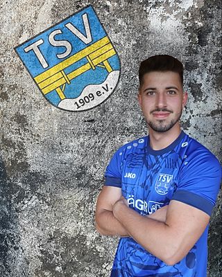 Massimo Bauer