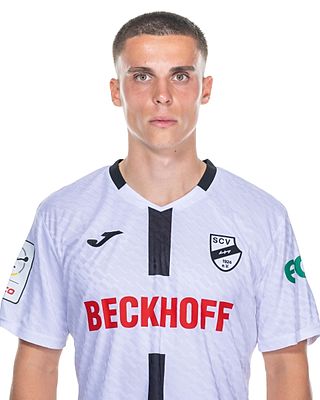Almin Mesanovic