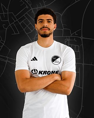 Abdullah Amr Mostafa Abdelghani