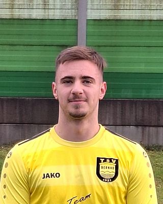 Cosmin Bernhardt Hartl