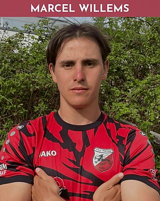 Marcel Tavares Willems