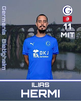 Ilias Hermi