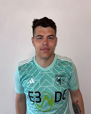 Simon Alexandru Lungu