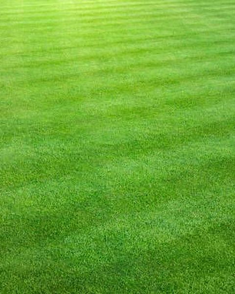 Foto: Vincenzo Lombardo