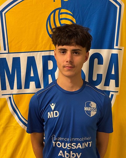 Milan Dullaert Dias