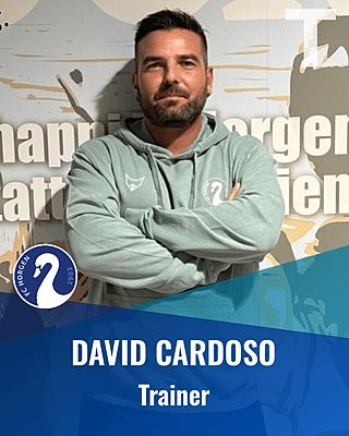 David Cardoso