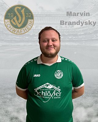 Marvin Brandysky