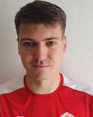 Leonard-Florian Brinceanu