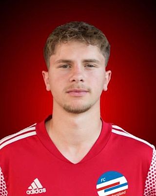 Belmin Dizdarevic
