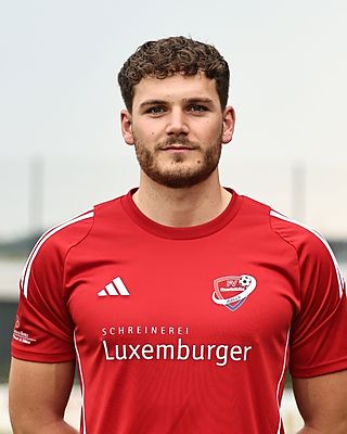 Dominik Schell