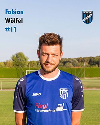 Fabian Wölfel
