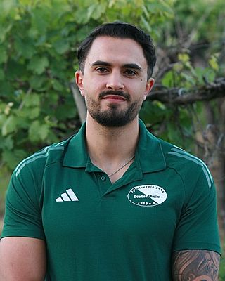 Alberto Flavio Bruno