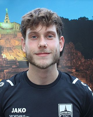 Theo Scharf