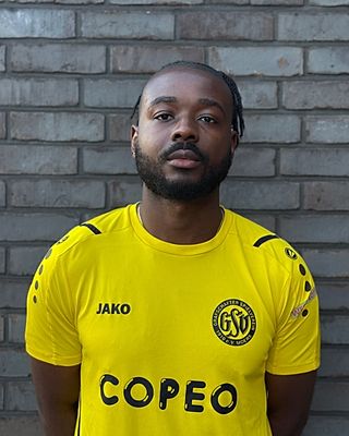 Henrique Domingos Sadjo