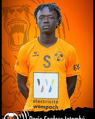 Dario Cardoso Intambú