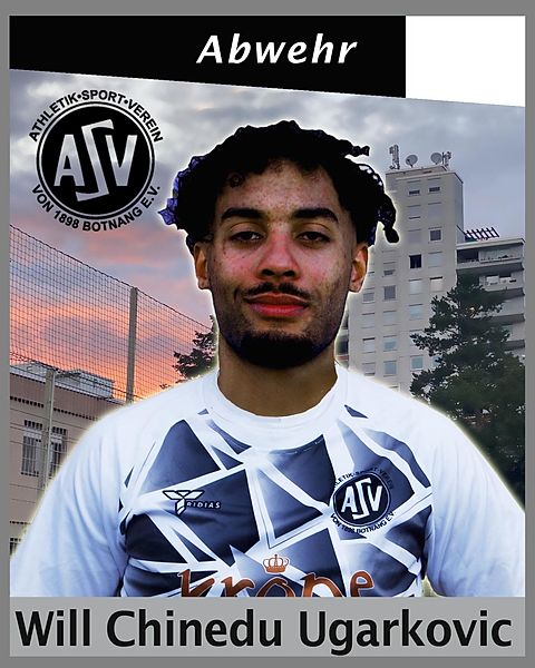 Will Chinedu Ugarkovic