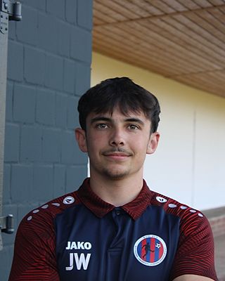 Jan Wellens