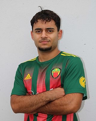 Sinwar Hasan Shamdin Dena