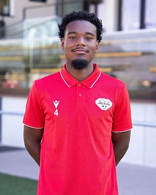 Djavan Dos Reis